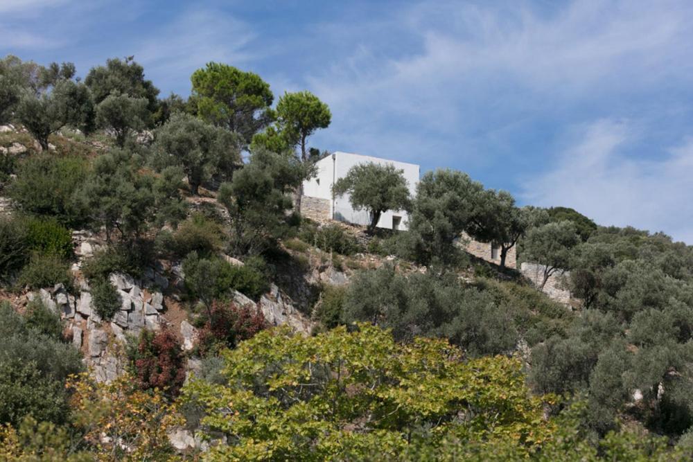 Moni Evaggelistrias House Λ 빌라 외부 사진