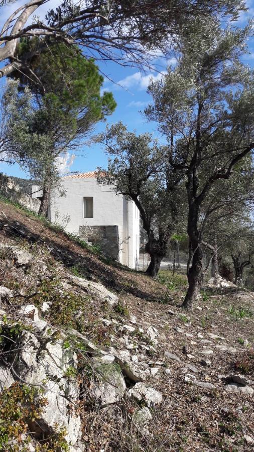 Moni Evaggelistrias House Λ 빌라 외부 사진